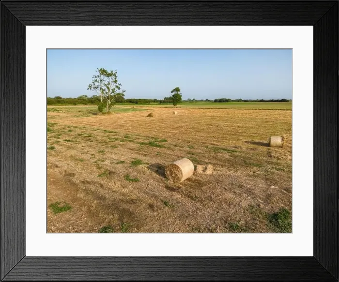 Framed Print : Aerial View of rural landscape near the Aveiro Lagoon at Murtosa, Aveiro, Portugal Framed Print : Aerial View of rural landscape near the Aveiro Lagoon at Murtosa, Aveiro, Portugal