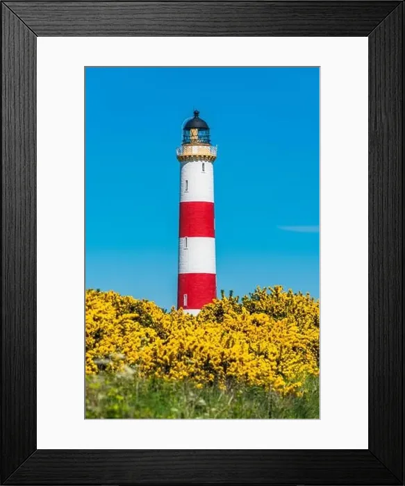 Framed Print : Tarbat Ness Lighthouse, Portmahomack, Highland, East Coast of Scotland, UK Framed Print : Tarbat Ness Lighthouse, Portmahomack, Highland, East Coast of Scotland, UK