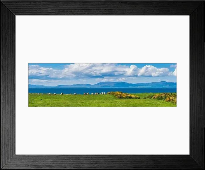 Framed Print : Bulls and Cows on Fields over Coastline, English Village, England, Europe Framed Print : Bulls and Cows on Fields over Coastline, English Village, England, Europe