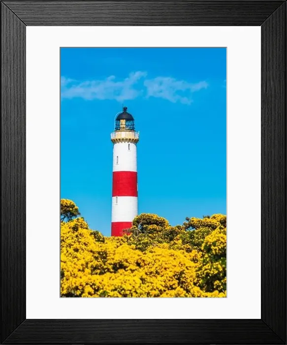 Framed Print : Tarbat Ness Lighthouse, Portmahomack, Highland, East Coast of Scotland, UK Framed Print : Tarbat Ness Lighthouse, Portmahomack, Highland, East Coast of Scotland, UK