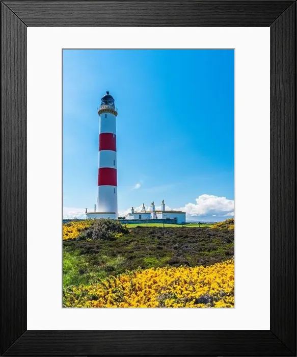 Framed Print : Tarbat Ness Lighthouse, Portmahomack, Highland, East Coast of Scotland, UK Framed Print : Tarbat Ness Lighthouse, Portmahomack, Highland, East Coast of Scotland, UK