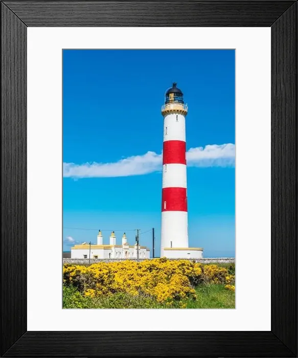 Framed Print : Tarbat Ness Lighthouse, Portmahomack, Highland, East Coast of Scotland, UK Framed Print : Tarbat Ness Lighthouse, Portmahomack, Highland, East Coast of Scotland, UK