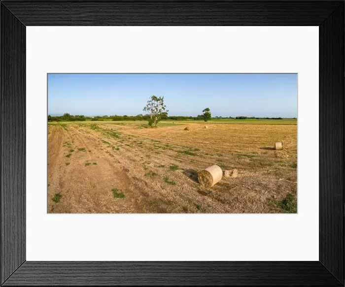 Framed Print : Aerial View of rural landscape near the Aveiro Lagoon at Murtosa, Aveiro, Portugal Framed Print : Aerial View of rural landscape near the Aveiro Lagoon at Murtosa, Aveiro, Portugal