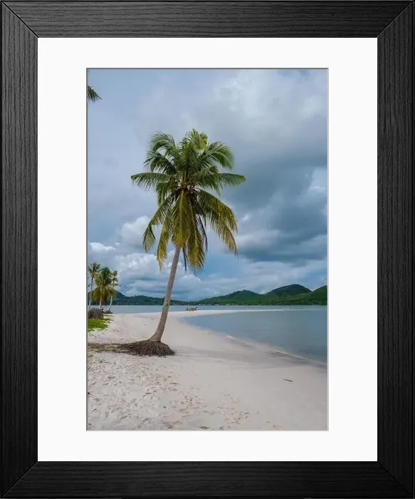 Framed Print : the beach at the Island Koh Yao Yai Thailand, beach with white sand and palm trees Framed Print : the beach at the Island Koh Yao Yai Thailand, beach with white sand and palm trees