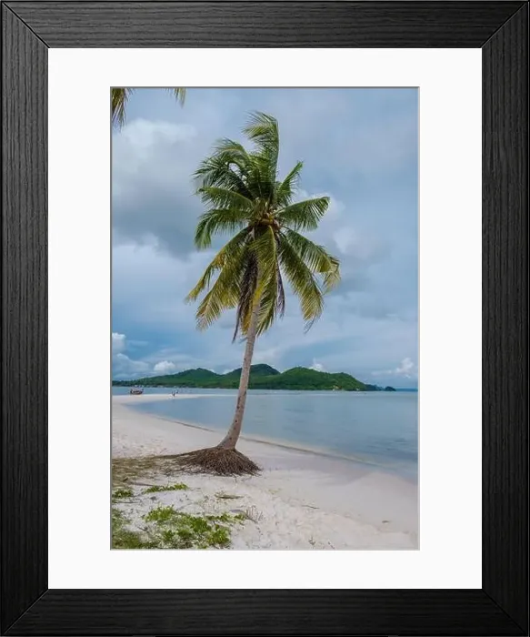 Framed Print : the beach at the Island Koh Yao Yai Thailand, beach with white sand and palm trees Framed Print : the beach at the Island Koh Yao Yai Thailand, beach with white sand and palm trees
