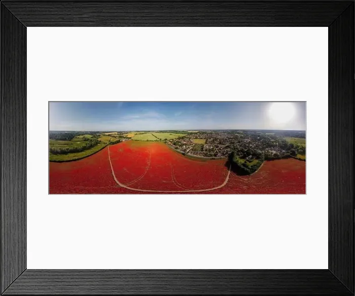 Framed Print : A 360 degree aerial view of poppies in bloom in a field near Ipswich, UK Framed Print : A 360 degree aerial view of poppies in bloom in a field near Ipswich, UK