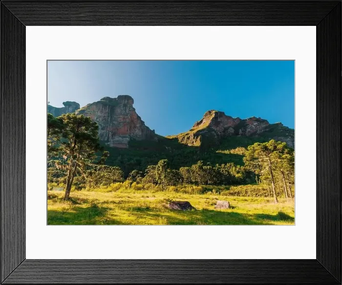 Framed Print : Morro dos Cabritos canyon with trees and rocks with morning lignt in Santa Catarina, Brazil Framed Print : Morro dos Cabritos canyon with trees and rocks with morning lignt in Santa Catarina, Brazil
