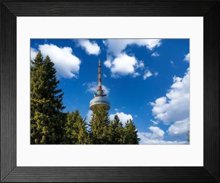 Framed Print : The high tourist observation tower Snezhana on the mountain peak of Snezhana covered with evergreen spruce dense Framed Print : The high tourist observation tower Snezhana on the mountain peak of Snezhana covered with evergreen spruce dense