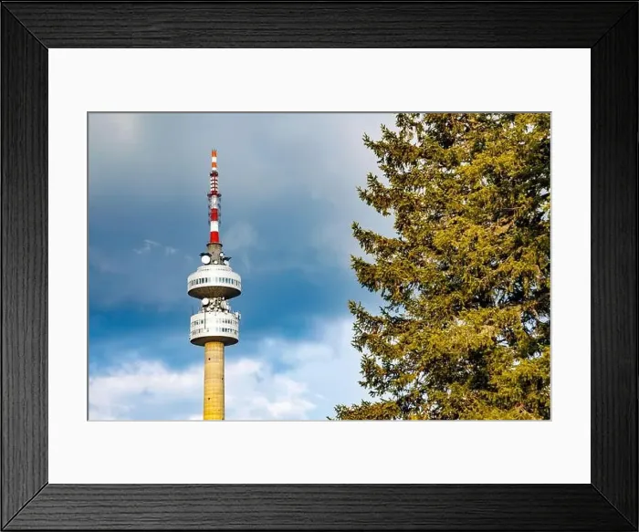 Framed Print : The high tourist observation tower Snezhana on the mountain peak of Snezhana covered with evergreen spruce dense Framed Print : The high tourist observation tower Snezhana on the mountain peak of Snezhana covered with evergreen spruce dense
