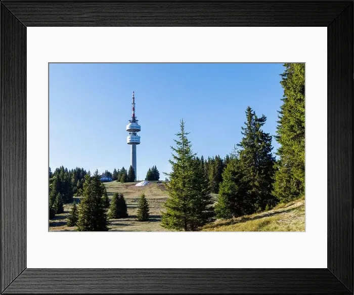 Framed Print : The high tourist observation tower Snezhana on the mountain peak of Snezhana covered with evergreen spruce dense Framed Print : The high tourist observation tower Snezhana on the mountain peak of Snezhana covered with evergreen spruce dense