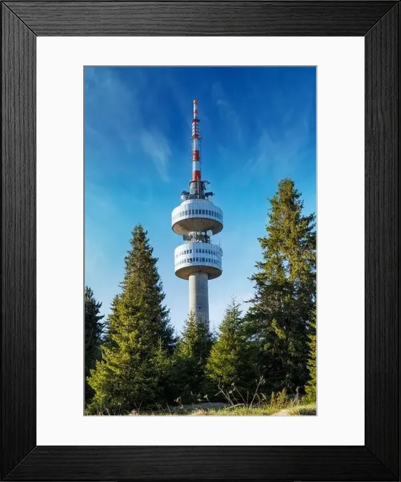 Framed Print : The high tourist observation tower Snezhana on the mountain peak of Snezhana covered with evergreen spruce dense Framed Print : The high tourist observation tower Snezhana on the mountain peak of Snezhana covered with evergreen spruce dense