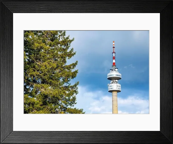Framed Print : The high tourist observation tower Snezhana on the mountain peak of Snezhana covered with evergreen spruce dense Framed Print : The high tourist observation tower Snezhana on the mountain peak of Snezhana covered with evergreen spruce dense