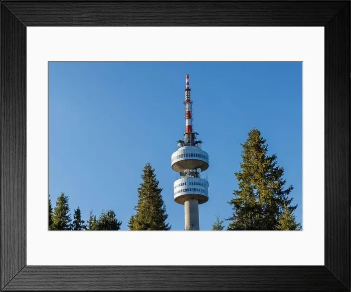Framed Print : The high tourist observation tower Snezhana on the mountain peak of Snezhana covered with evergreen spruce dense Framed Print : The high tourist observation tower Snezhana on the mountain peak of Snezhana covered with evergreen spruce dense