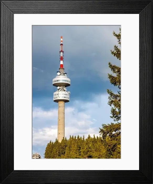 Framed Print : The high tourist observation tower Snezhana on the mountain peak of Snezhana covered with evergreen spruce dense Framed Print : The high tourist observation tower Snezhana on the mountain peak of Snezhana covered with evergreen spruce dense