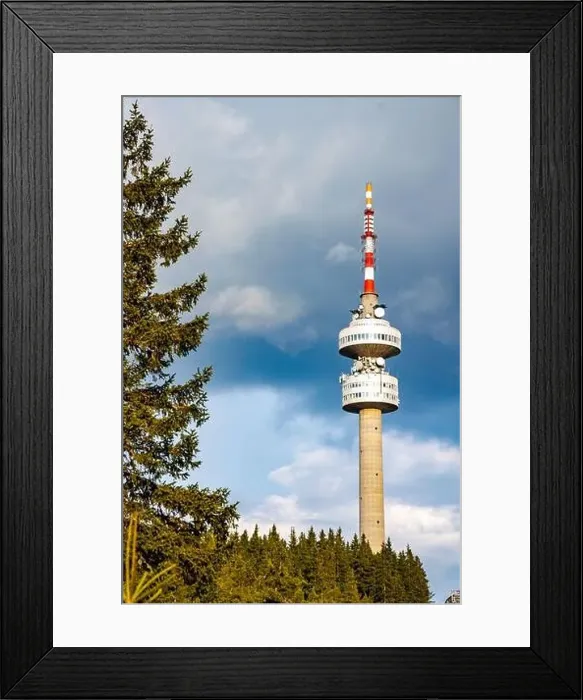 Framed Print : The high tourist observation tower Snezhana on the mountain peak of Snezhana covered with evergreen spruce dense Framed Print : The high tourist observation tower Snezhana on the mountain peak of Snezhana covered with evergreen spruce dense