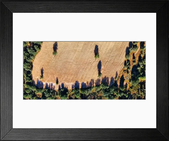 Framed Print : Aerial aerial view of arable fields and surrounding trees. Background Framed Print : Aerial aerial view of arable fields and surrounding trees. Background
