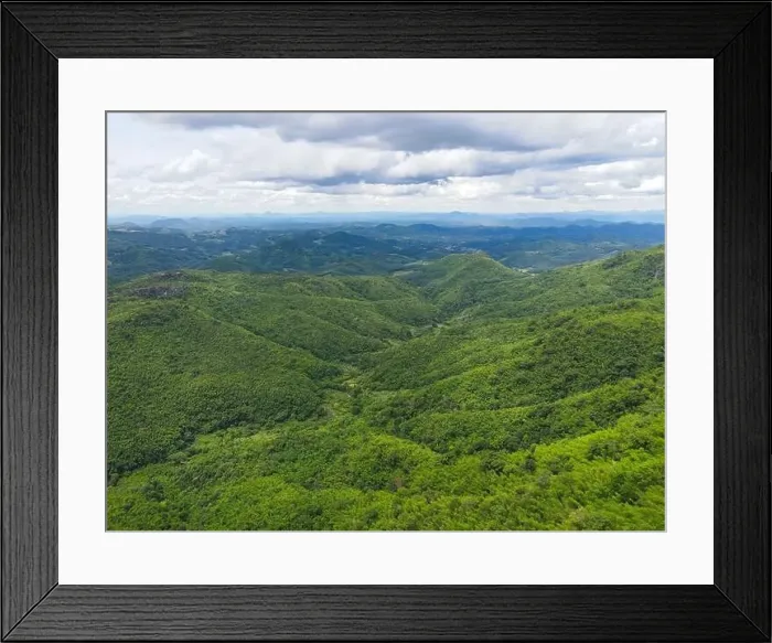 Framed Print : Aerial view forest trees background jungle nature green tree on the mountain top view Framed Print : Aerial view forest trees background jungle nature green tree on the mountain top view