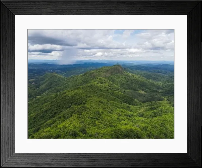 Framed Print : Aerial view forest trees background jungle nature green tree on the mountain top view Framed Print : Aerial view forest trees background jungle nature green tree on the mountain top view