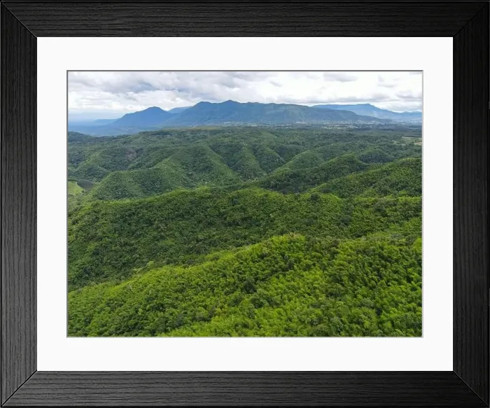 Framed Print : Aerial view forest trees background jungle nature green tree on the mountain top view Framed Print : Aerial view forest trees background jungle nature green tree on the mountain top view