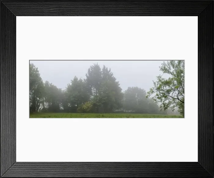 Framed Print : Foggy landscape with trees panoramic nature Framed Print : Foggy landscape with trees panoramic nature