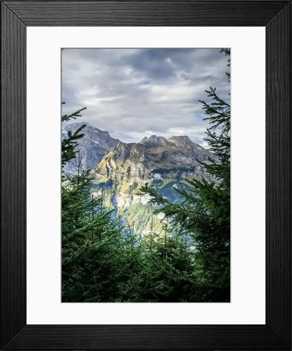 Framed Print : Hiking near Engelberg with a view of the Swiss Alps, summer Framed Print : Hiking near Engelberg with a view of the Swiss Alps, summer
