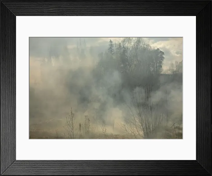 Framed Print : Fire in forest. Smoke and fire in nature. Burning garbage. Illegal landfill is on fire Framed Print : Fire in forest. Smoke and fire in nature. Burning garbage. Illegal landfill is on fire