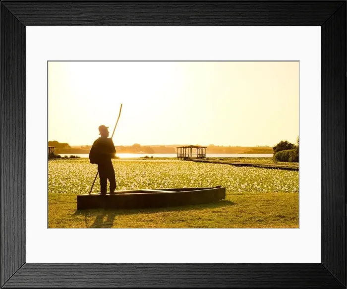 Framed Print : Sunset view of Pateira de Espinhel in Agueda, Aveiro - Portugal Framed Print : Sunset view of Pateira de Espinhel in Agueda, Aveiro - Portugal