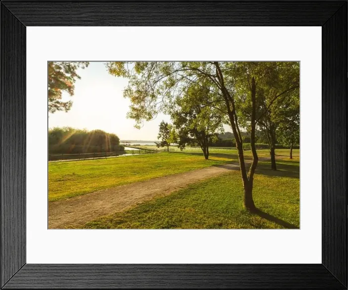 Framed Print : Sunset view of Pateira de Espinhel in Agueda, Aveiro - Portugal Framed Print : Sunset view of Pateira de Espinhel in Agueda, Aveiro - Portugal