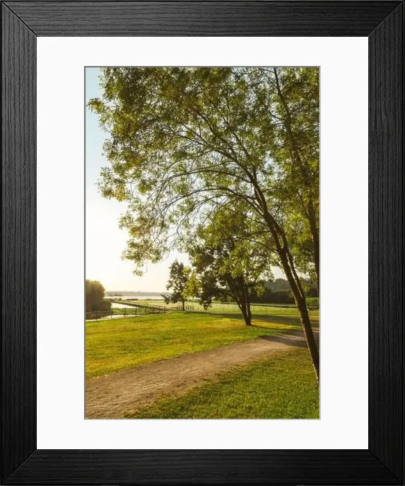 Framed Print : Sunset view of Pateira de Espinhel in Agueda, Aveiro - Portugal Framed Print : Sunset view of Pateira de Espinhel in Agueda, Aveiro - Portugal