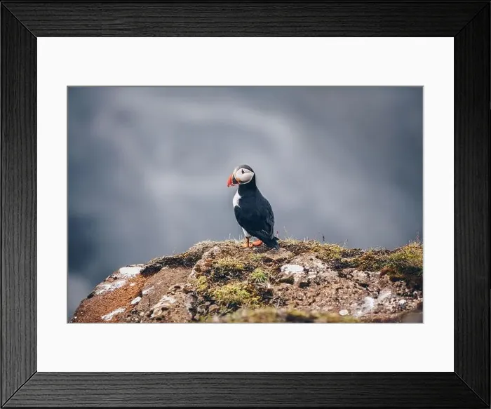 Framed Print : Iceland Framed Print : Iceland