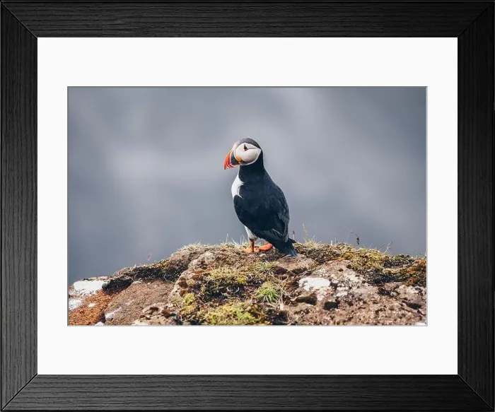Framed Print : Iceland Framed Print : Iceland