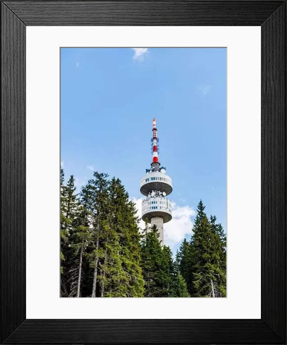 Framed Print : The high tourist observation tower Snezhana on the mountain peak of Snezhana covered with evergreen spruce dense Framed Print : The high tourist observation tower Snezhana on the mountain peak of Snezhana covered with evergreen spruce dense