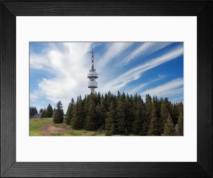 Framed Print : The high tourist observation tower Snezhana on the mountain peak of Snezhana covered with evergreen spruce dense Framed Print : The high tourist observation tower Snezhana on the mountain peak of Snezhana covered with evergreen spruce dense