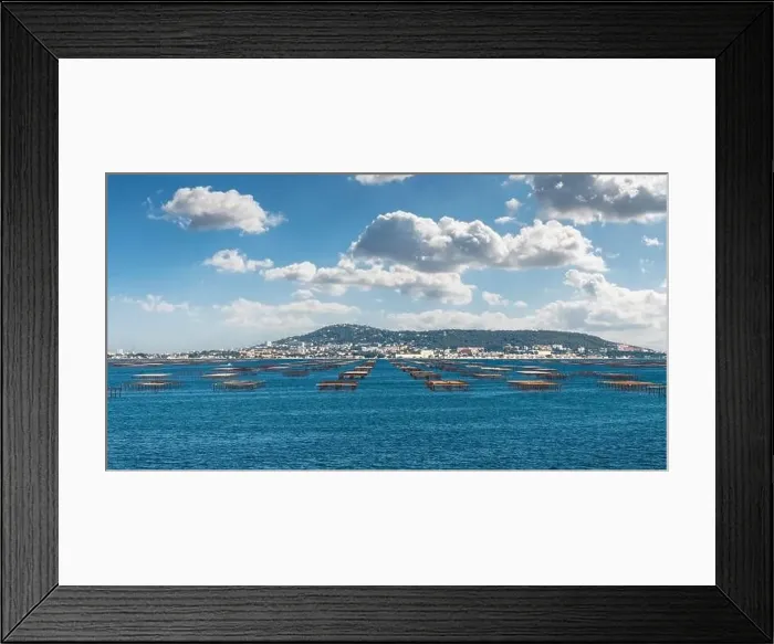 Framed Print : Mont Saint Clair and the Thau pond with its oyster tables in Herault, Occitanie, France Framed Print : Mont Saint Clair and the Thau pond with its oyster tables in Herault, Occitanie, France