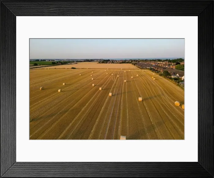 Framed Print : Wheat fields at Harvest time Framed Print : Wheat fields at Harvest time