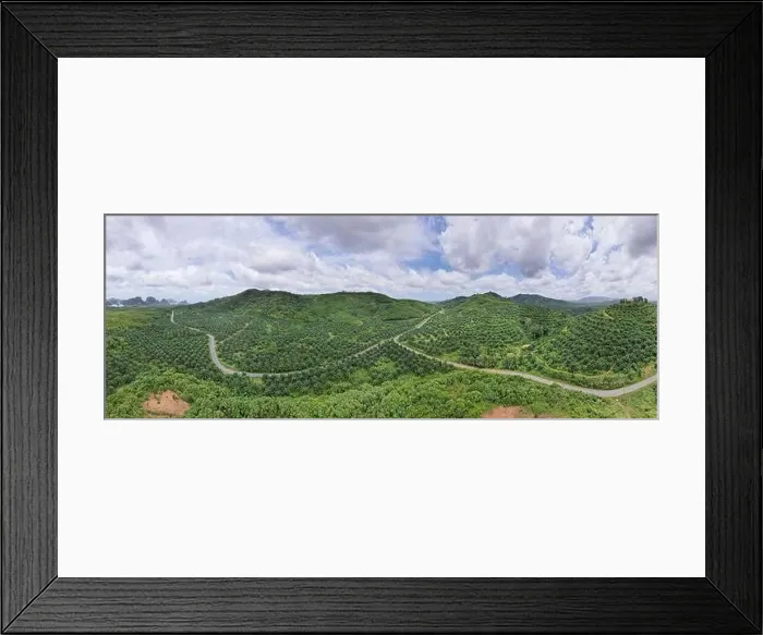 Framed Print : Aerial view drone shot of panorama Palm trees plantation rainforest landscape nature scenery view in thailand Amazing Framed Print : Aerial view drone shot of panorama Palm trees plantation rainforest landscape nature scenery view in thailand Amazing