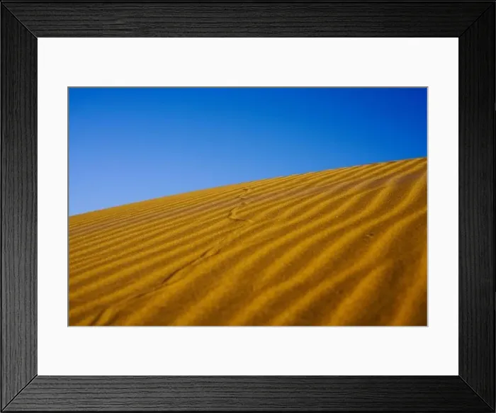 Framed Print : Snack tracks in the sand, Morocco Framed Print : Snack tracks in the sand, Morocco