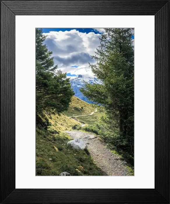 Framed Print : Hiking near Engelberg with a view of the Swiss Alps, summer Framed Print : Hiking near Engelberg with a view of the Swiss Alps, summer