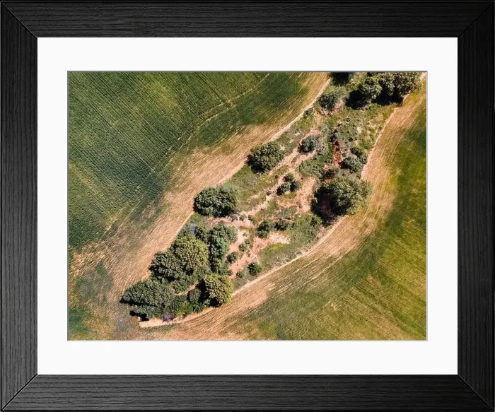 Framed Print : Aerial view from drone of cultivated fields and trees on a plot of land. Spain