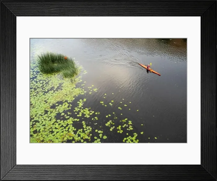 Framed Print : Top view of person sport canoe. Lake or river. Water plants Framed Print : Top view of person sport canoe. Lake or river. Water plants