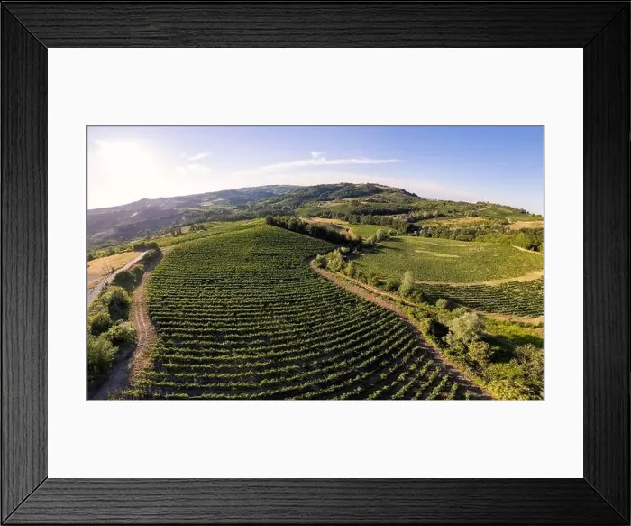 Framed Print : Vineyard plantations, panoramic aerial view north of Italy. Blue sky, clouds, countryside hills in Summer Framed Print : Vineyard plantations, panoramic aerial view north of Italy. Blue sky, clouds, countryside hills in Summer