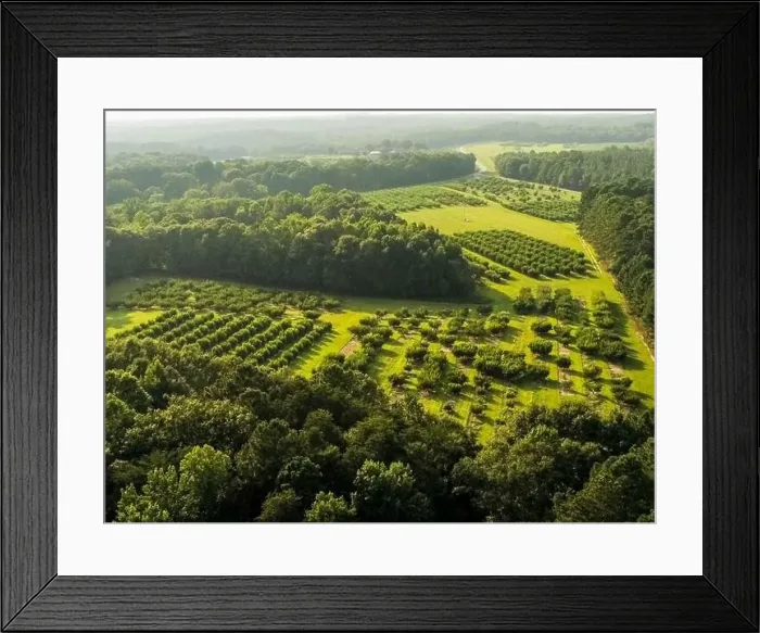 Framed Print : Aerial over lake hartwell south carolina and georgia line at sunset Framed Print : Aerial over lake hartwell south carolina and georgia line at sunset