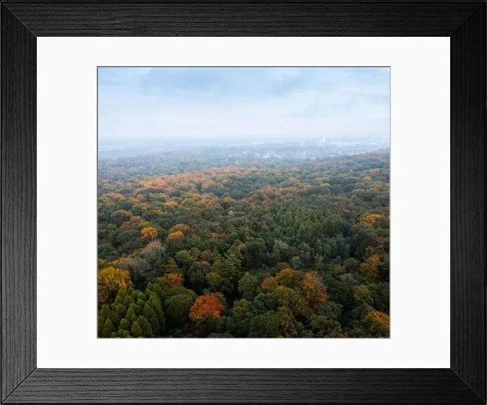 Framed Print : Bird's eye view of the autumn-colored forest in Duisburg, Germany Framed Print : Bird's eye view of the autumn-colored forest in Duisburg, Germany