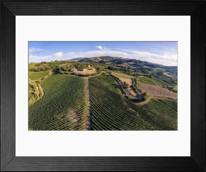 Framed Print : Vineyard plantations, panoramic aerial view north of Italy. Blue sky, clouds, countryside hills in Summer Framed Print : Vineyard plantations, panoramic aerial view north of Italy. Blue sky, clouds, countryside hills in Summer