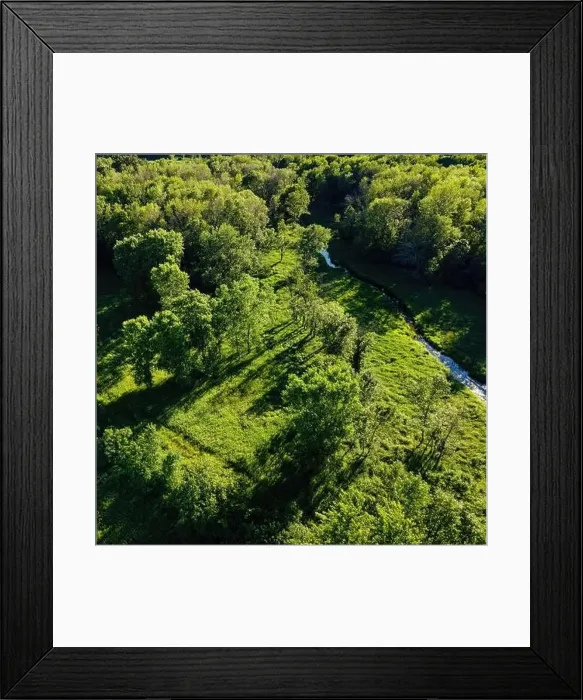 Framed Print : A summertine scene in the wilderness with a small stream flowing through the woods Framed Print : A summertine scene in the wilderness with a small stream flowing through the woods