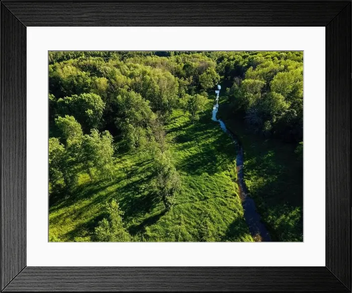 Framed Print : A summertine scene in the wilderness with a small stream flowing through the woods Framed Print : A summertine scene in the wilderness with a small stream flowing through the woods