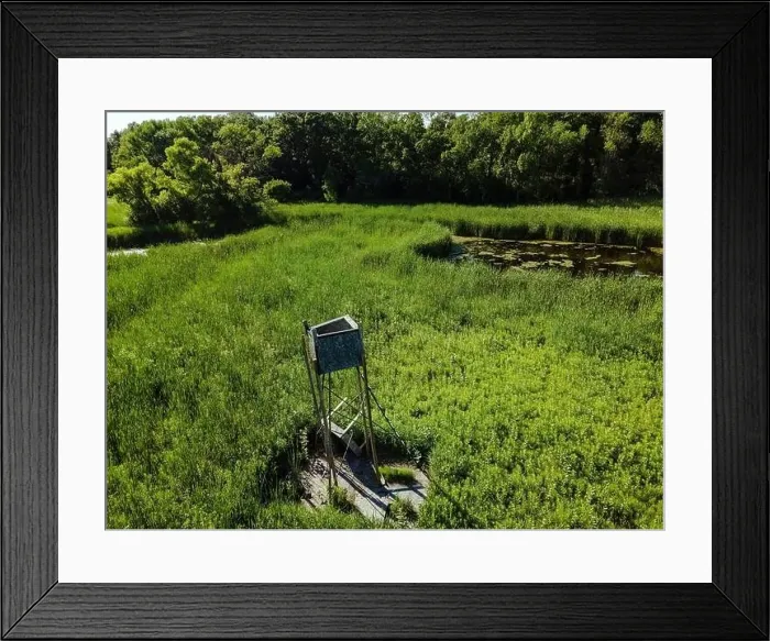 Framed Print : An old and broken hunting stand is left to rot away in the rural summertime wisconsin wilderness Framed Print : An old and broken hunting stand is left to rot away in the rural summertime wisconsin wilderness