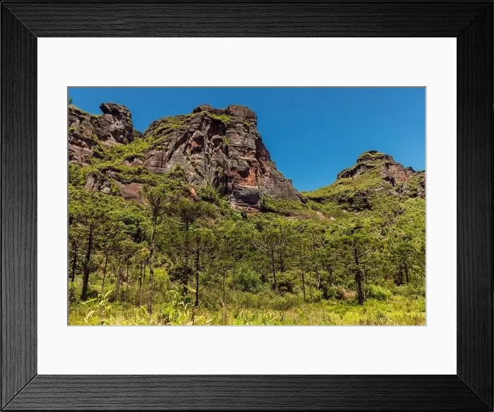 Framed Print : Morro dos Cabritos canyon with trees and rocks in Santa Catarina, Brazil Framed Print : Morro dos Cabritos canyon with trees and rocks in Santa Catarina, Brazil