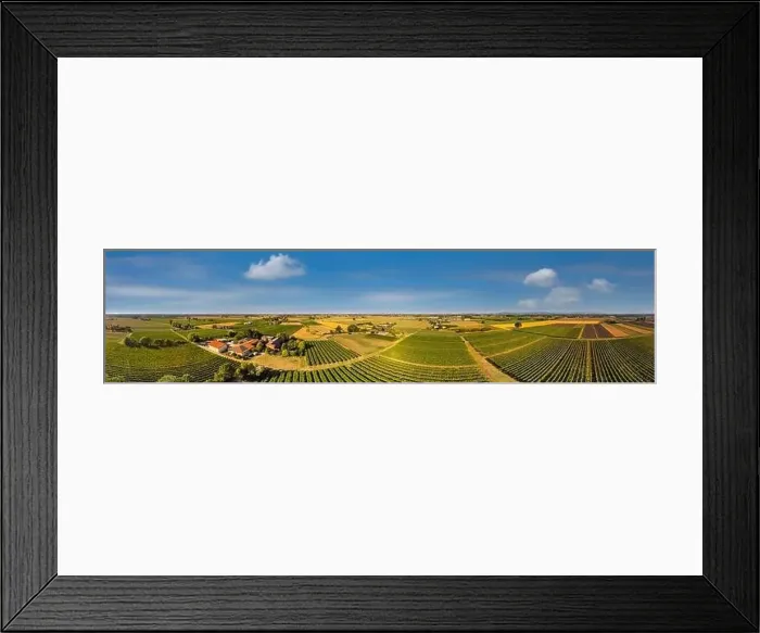 Framed Print : Vineyards in Italy, Aerial view of scenic vineyards in Italy Framed Print : Vineyards in Italy, Aerial view of scenic vineyards in Italy