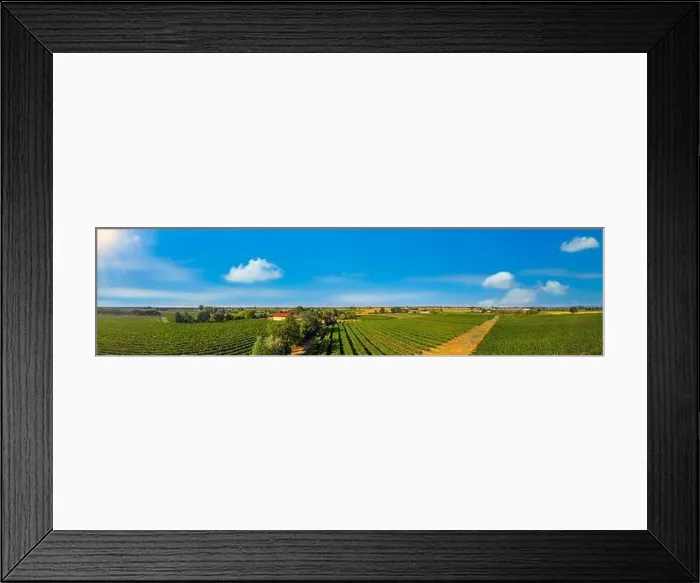 Framed Print : Vineyards in Italy, Aerial view of scenic vineyards in Italy Framed Print : Vineyards in Italy, Aerial view of scenic vineyards in Italy